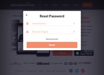 Reset Password Modal