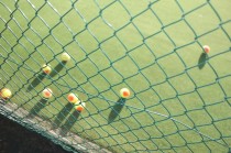 Photo Tennis