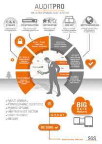 AuditPro Infographic